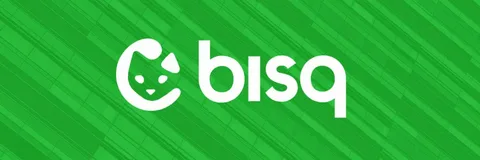 Bisq peer-to-peer Bitcoin exchange for privacy-focused decentralized BTC trading
